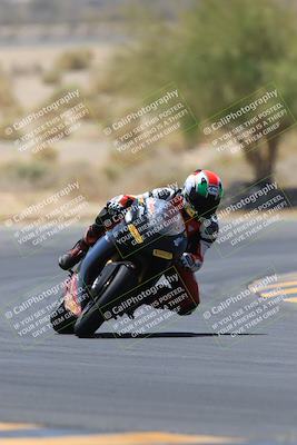 media/May-14-2023-SoCal Trackdays (Sun) [[024eb53b40]]/Turn 5 Tree of Life (1125am)/